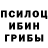 Галлюциногенные грибы Magic Shrooms Audriana Street