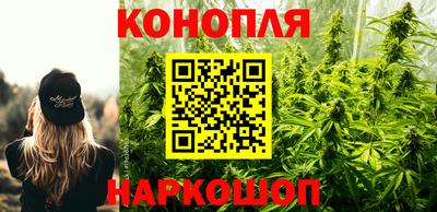 крисы Кизилюрт