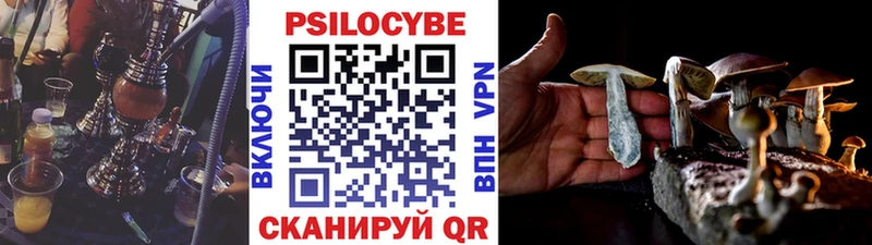 Псилоцибиновые грибы прущие грибы Канск