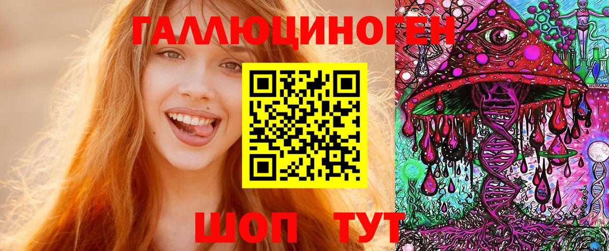 Галлюциногенные грибы Cubensis Канск