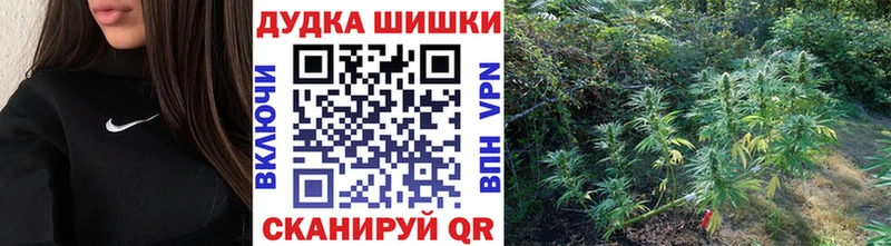 Бошки марихуана конопля  ОМГ ОМГ ссылки  Канск 