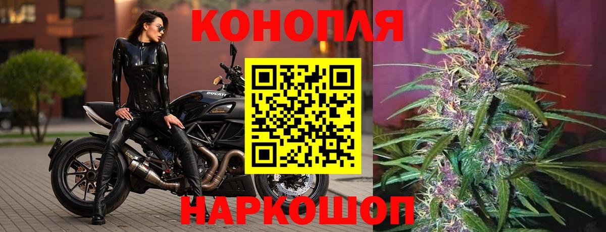 Конопля Ganja  Вход с VPN  Бошки марихуана марихуана  Бошки Шишки Bruce Banner  Канск 